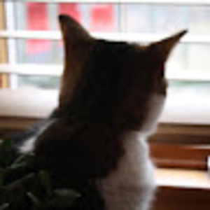 Meet your Posher, Randi